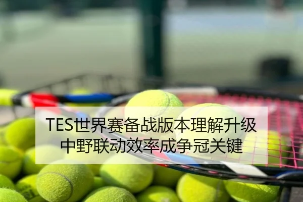 TES世界赛备战版本理解升级 中野联动效率成争冠关键